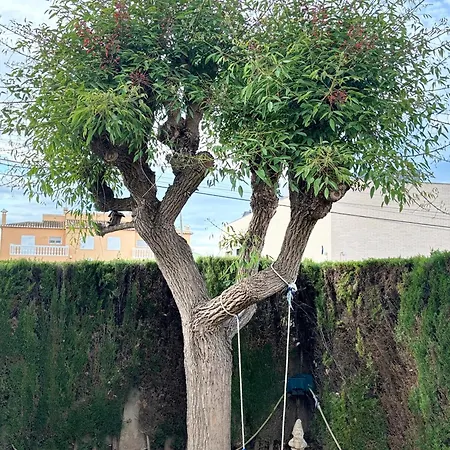 El Ceibal Playa - Con Piscina Privada * Oliva